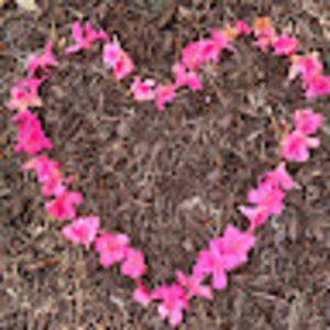 Meet your Posher, Valerie